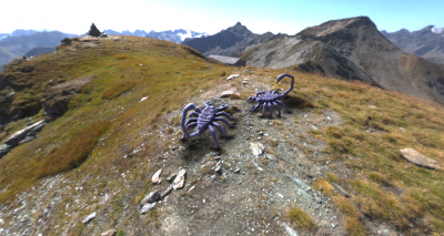 mountain scorpions