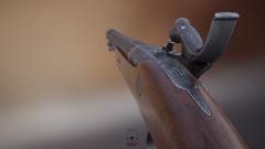 Capsule pistol fpview