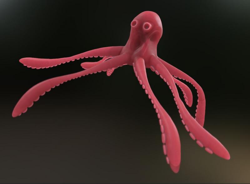 octopus.JPG
