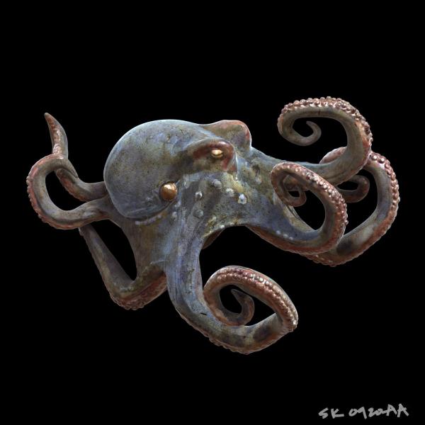 Octopus_R0.jpg