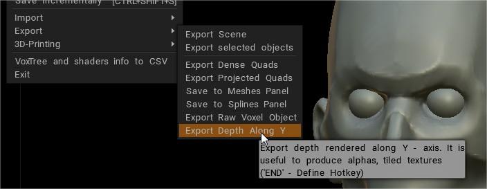 Export depth along Y.jpg