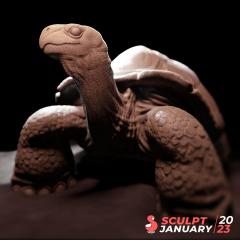tiago-cruz-day31-tortoise.jpg