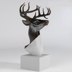 3D sculpted model.jpg