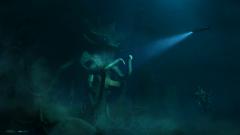 ashan-ranasinghe-underwater-scene.jpg