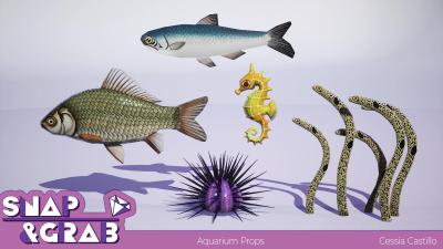 cessia-castillo-sng-portfolio-fishfriendskit.jpg