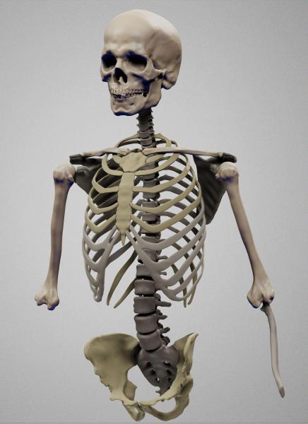 render.JPG