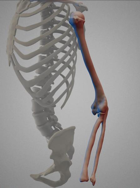 test render.JPG