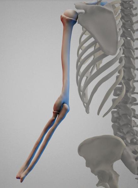 testrenderrear.thumb.JPG.ed8ada70e0b706af23acbe8054d68cc3.JPG